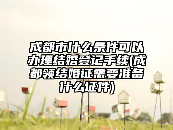 成都市什么条件可以办理结婚登记手续(成都领结婚证需要准备什么证件)-第1张图片-海印网