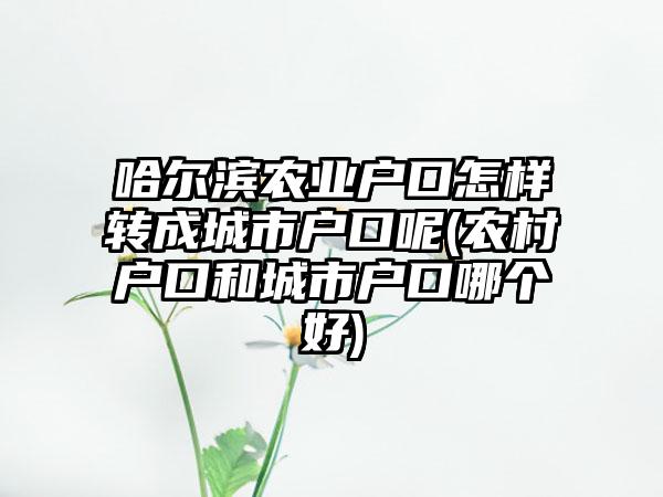 哈尔滨农业户口怎样转成城市户口呢(农村户口和城市户口哪个好)-第1张图片-海印网