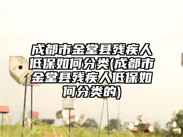 成都市金堂县残疾人低保如何分类(成都市金堂县残疾人低保如何分类的)