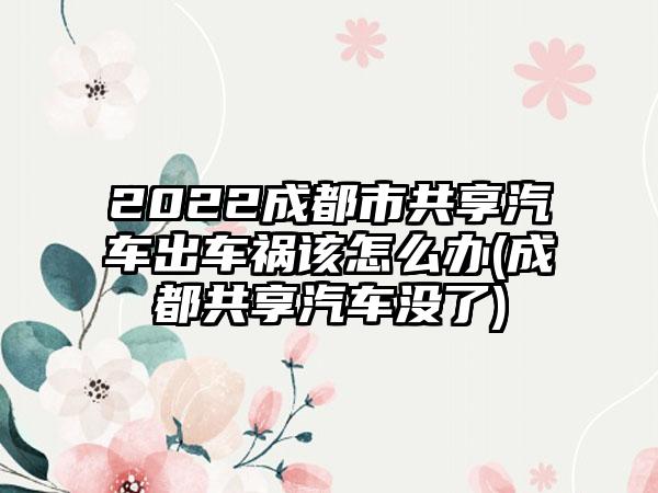 2022成都市共享汽车出车祸该怎么办(成都共享汽车没了)-第1张图片-海印网