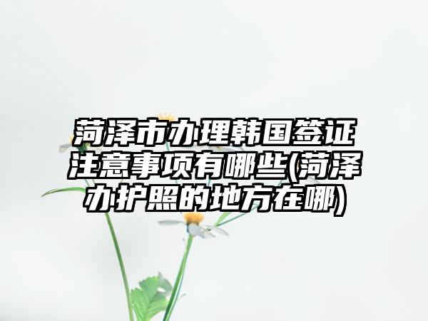 菏泽市办理韩国签证注意事项有哪些(菏泽办护照的地方在哪)-第1张图片-海印网