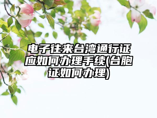 电子往来台湾通行证应如何办理手续(台胞证如何办理)