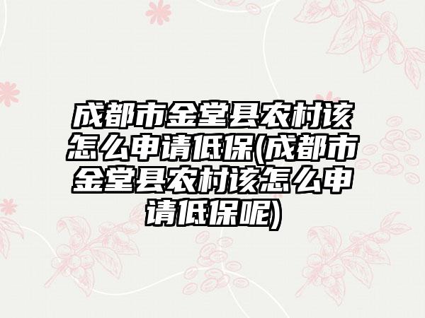 成都市金堂县农村该怎么申请低保(成都市金堂县农村该怎么申请低保呢)