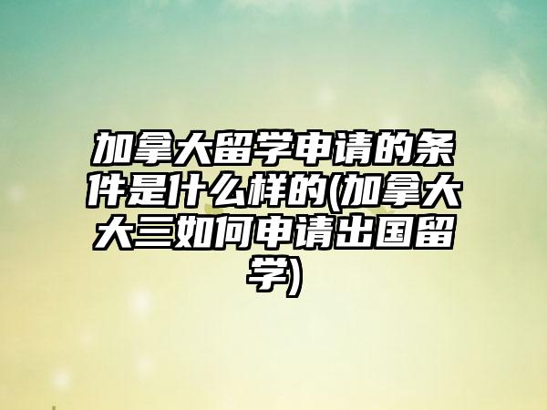 加拿大留学申请的条件是什么样的(加拿大大三如何申请出国留学)-第1张图片-海印网