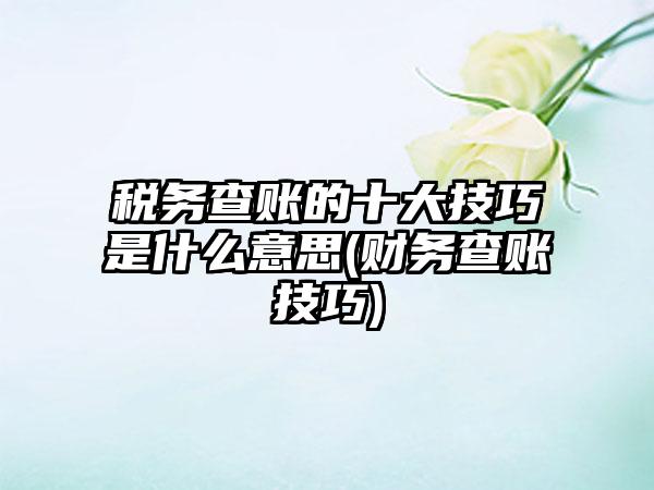 税务查账的十大技巧是什么意思(财务查账技巧)-第1张图片-海印网