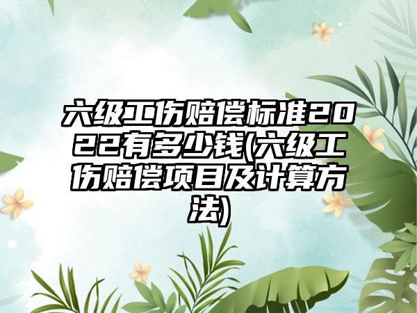 六级工伤赔偿标准2022有多少钱(六级工伤赔偿项目及计算方法)-第1张图片-海印网