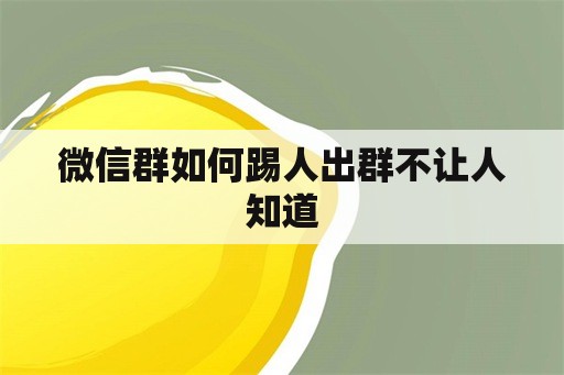 微信群如何踢人出群不让人知道-第1张图片-海印网