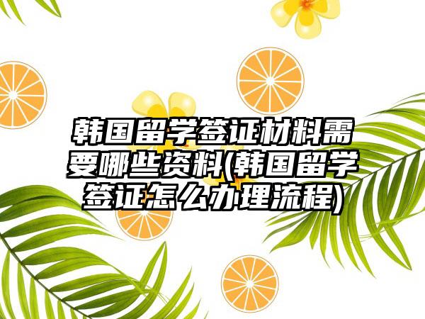 韩国留学签证材料需要哪些资料(韩国留学签证怎么办理流程)-第1张图片-海印网