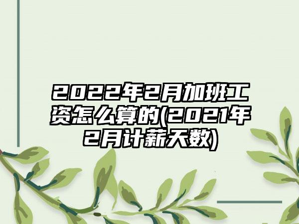 2022年2月加班工资怎么算的(2021年2月计薪天数)-第1张图片-海印网