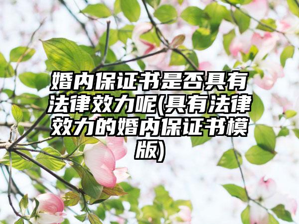 婚内保证书是否具有法律效力呢(具有法律效力的婚内保证书模版)-第1张图片-海印网