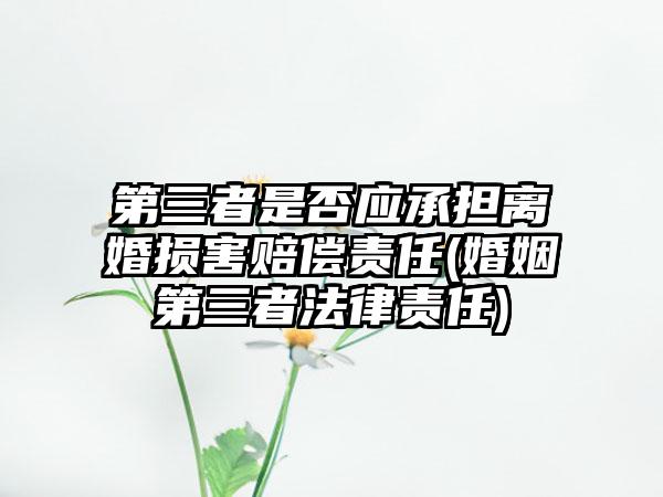 第三者是否应承担离婚损害赔偿责任(婚姻第三者法律责任)-第1张图片-海印网