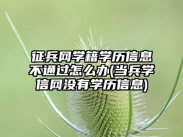 征兵网学籍学历信息不通过怎么办(当兵学信网没有学历信息)-第1张图片-海印网