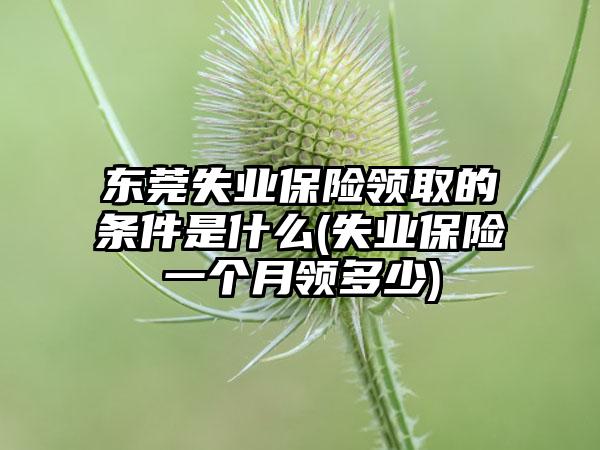 东莞失业保险领取的条件是什么(失业保险一个月领多少)-第1张图片-海印网