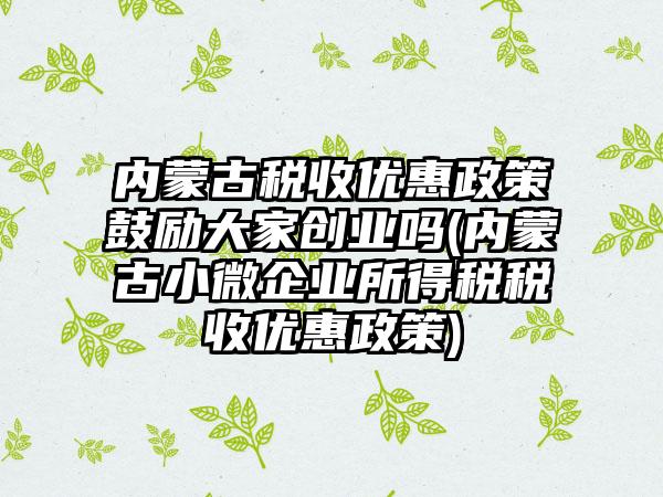 内蒙古税收优惠政策鼓励大家创业吗(内蒙古小微企业所得税税收优惠政策)-第1张图片-海印网