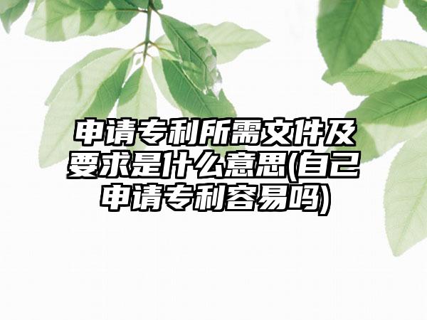 申请专利所需文件及要求是什么意思(自己申请专利容易吗)-第1张图片-海印网