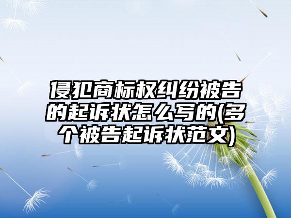 侵犯商标权纠纷被告的起诉状怎么写的(多个被告起诉状范文)-第1张图片-海印网