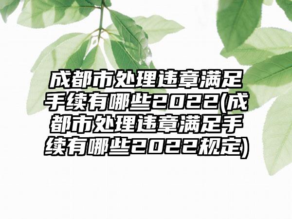 成都市处理违章满足手续有哪些2022(成都市处理违章满足手续有哪些2022规定)-第1张图片-海印网