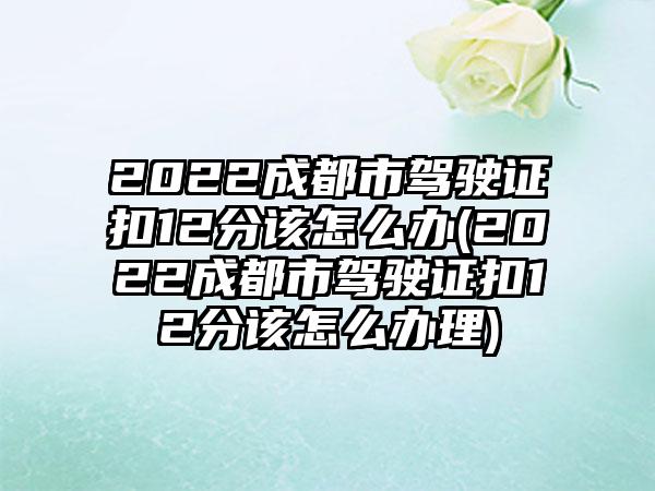 2022成都市驾驶证扣12分该怎么办(2022成都市驾驶证扣12分该怎么办理)-第1张图片-海印网