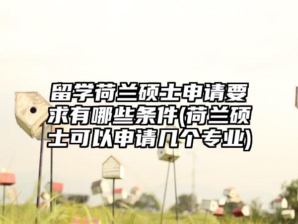 留学荷兰硕士申请要求有哪些条件(荷兰硕士可以申请几个专业)-第1张图片-海印网