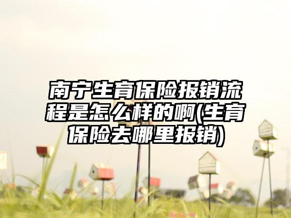 南宁生育保险报销流程是怎么样的啊(生育保险去哪里报销)-第1张图片-海印网