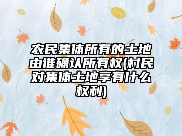 农民集体所有的土地由谁确认所有权(村民对集体土地享有什么权利)-第1张图片-海印网