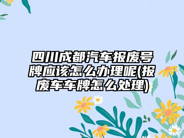 四川成都汽车报废号牌应该怎么办理呢(报废车车牌怎么处理)-第1张图片-海印网