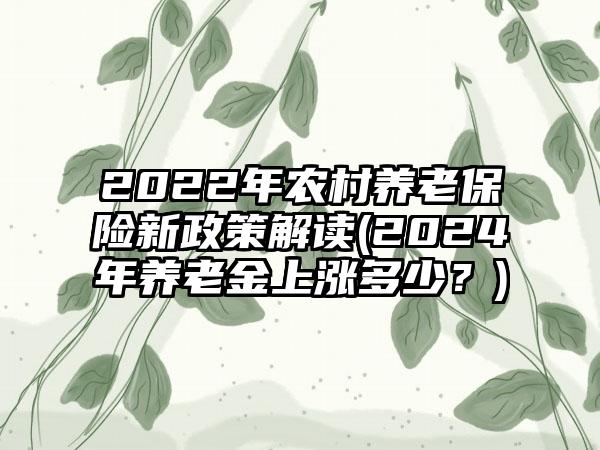 2022年农村养老保险新政策解读(2024年养老金上涨多少？)-第1张图片-海印网