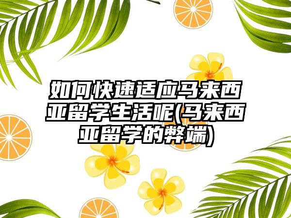 如何快速适应马来西亚留学生活呢(马来西亚留学的弊端)-第1张图片-海印网