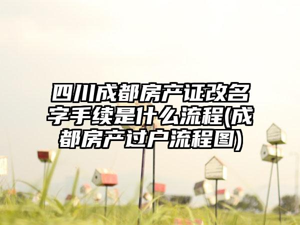 四川成都房产证改名字手续是什么流程(成都房产过户流程图)-第1张图片-海印网