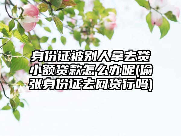 身份证被别人拿去贷小额贷款怎么办呢(偷张身份证去网贷行吗)-第1张图片-海印网