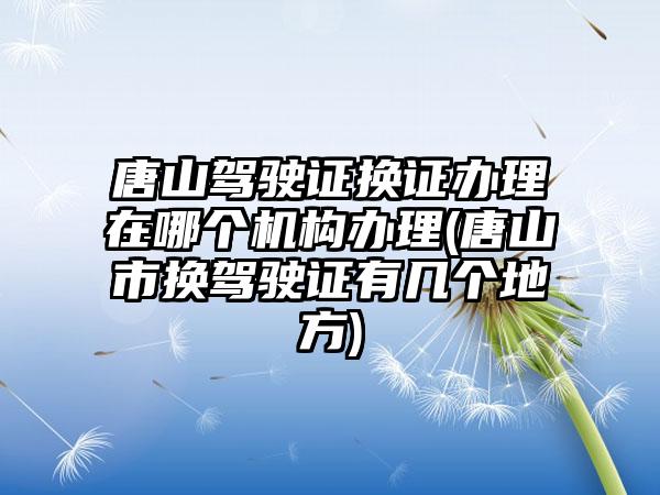 唐山驾驶证换证办理在哪个机构办理(唐山市换驾驶证有几个地方)-第1张图片-海印网