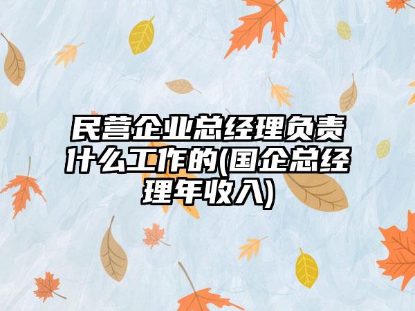 民营企业总经理负责什么工作的(国企总经理年收入)