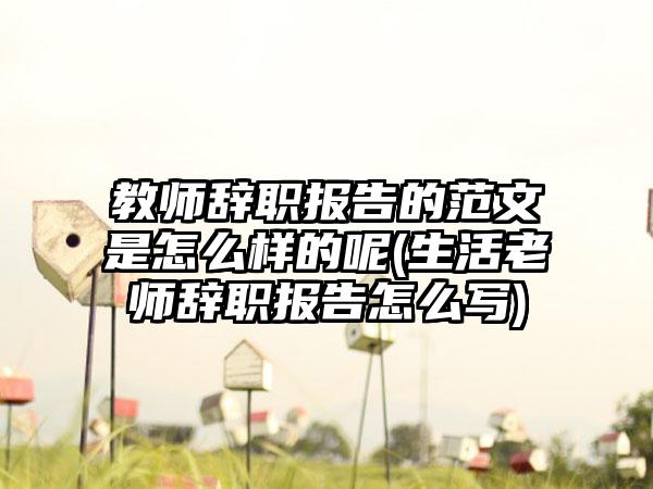 教师辞职报告的范文是怎么样的呢(生活老师辞职报告怎么写)-第1张图片-海印网