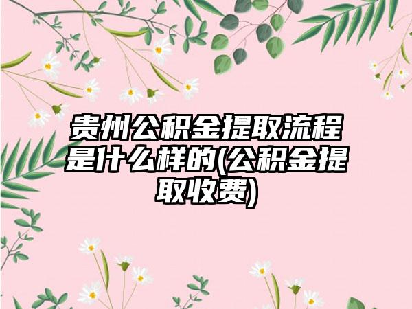 贵州公积金提取流程是什么样的(公积金提取收费)-第1张图片-海印网