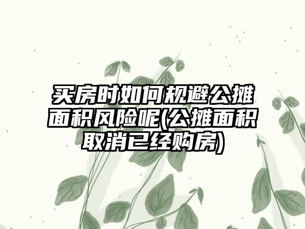 买房时如何规避公摊面积风险呢(公摊面积取消已经购房)-第1张图片-海印网