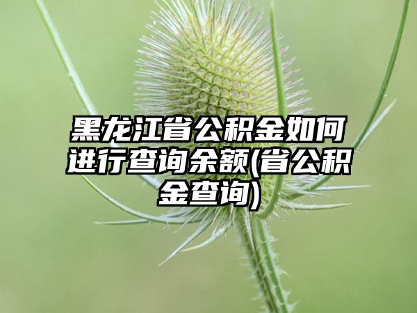 黑龙江省公积金如何进行查询余额(省公积金查询)-第1张图片-海印网