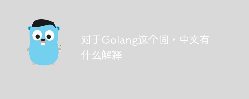 对于Golang这个词，中文有什么解释-第1张图片-海印网