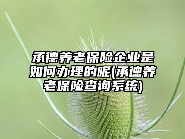 承德养老保险企业是如何办理的呢(承德养老保险查询系统)-第1张图片-海印网