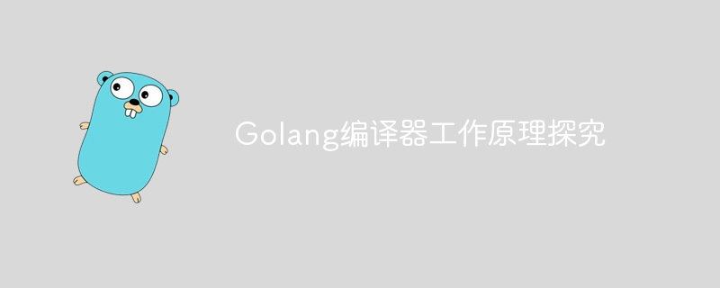 Golang编译器工作原理探究-第1张图片-海印网