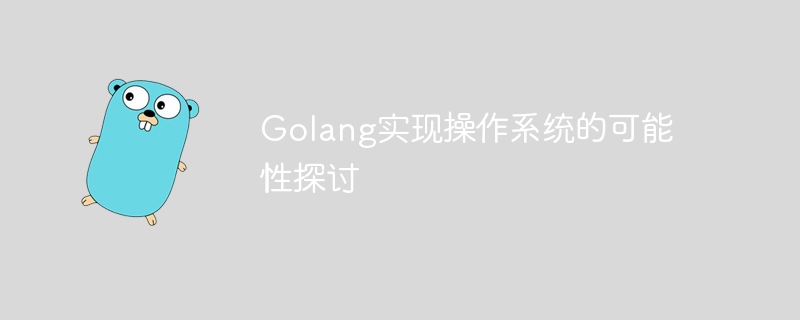 Golang实现操作系统的可能性探讨-第1张图片-海印网