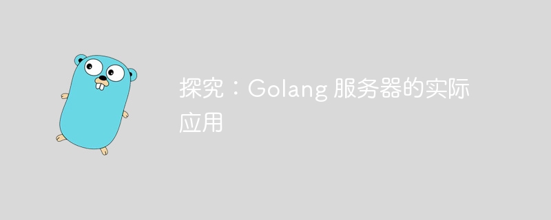 探究：Golang 服务器的实际应用-第1张图片-海印网