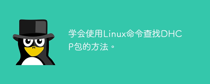 学会使用Linux命令查找DHCP包的方法。-第1张图片-海印网