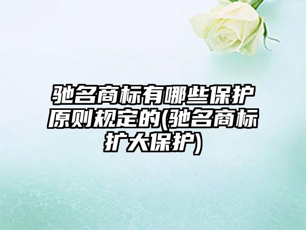 驰名商标有哪些保护原则规定的(驰名商标扩大保护)