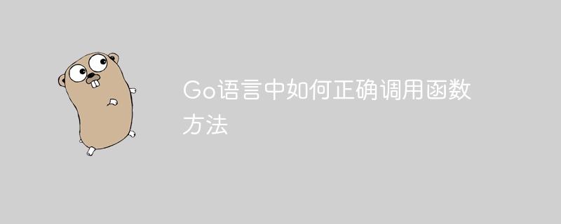 Go语言中如何正确调用函数方法-第1张图片-海印网