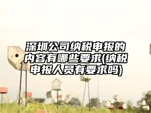 深圳公司纳税申报的内容有哪些要求(纳税申报人员有要求吗)