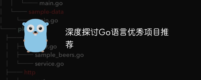 深度探讨Go语言优秀项目推荐-第1张图片-海印网