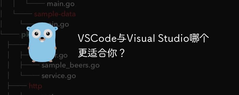 VSCode与Visual Studio哪个更适合你？-第1张图片-海印网