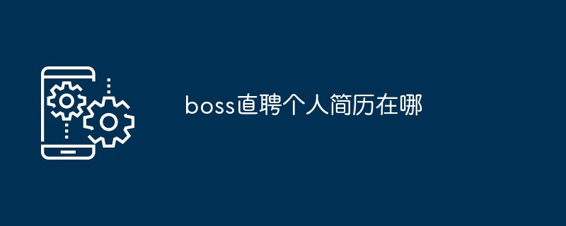 boss直聘个人简历在哪-第1张图片-海印网