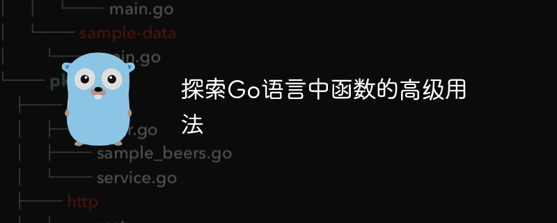 探索Go语言中函数的高级用法