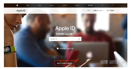 苹果手机id密码忘了怎么办 详细讲解：苹果手机重置密码的方法-第17张图片-海印网